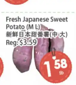 Fresh Palace Supermarket Fresh Japanese Sweet Potato (M L) offer