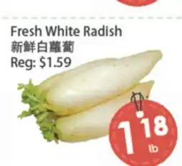 Fresh Palace Supermarket Fresh White Radish offer