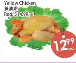 Fresh Palace Supermarket Yellow Chicken offer