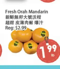 Fresh Palace Supermarket Fresh Orah Mandarin offer