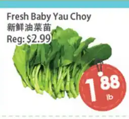 Fresh Palace Supermarket Fresh Baby Yau Choy offer