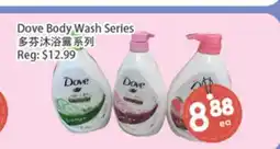 Fresh Palace Supermarket Dove Body Wash Series offer