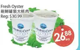Fresh Palace Supermarket Fresh Oyster offer