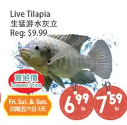 Fresh Palace Supermarket Live Tilapia offer