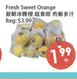 Fresh Palace Supermarket Fresh Sweet Orange offer