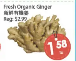 Fresh Palace Supermarket Fresh Organic Ginger offer