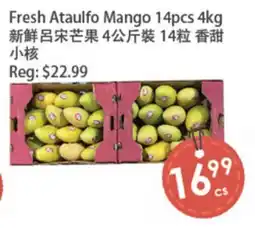 Fresh Palace Supermarket Fresh Ataulfo Mango 14pcs offer
