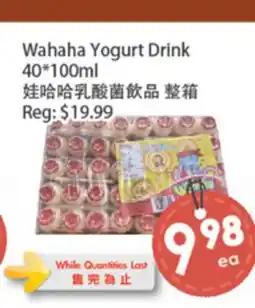 Fresh Palace Supermarket Wahaha Yogurt Drink offer