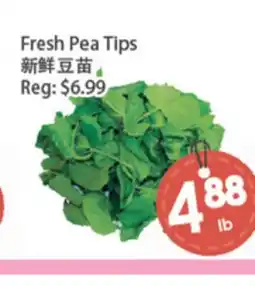 Fresh Palace Supermarket Fresh Pea Tips offer