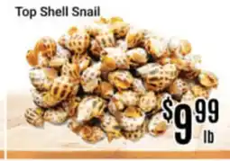 Nations Fresh Foods Top Shell Snail offer