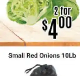 Nations Fresh Foods Small Red Onions offer