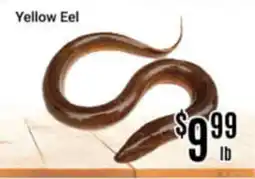 Nations Fresh Foods Yellow Eel offer