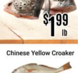 Nations Fresh Foods Chinese Yellow Croaker offer