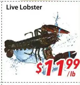 Bestco Food Mart Live Lobster offer