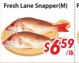 Bestco Food Mart Fresh Lane Snapper(M) offer