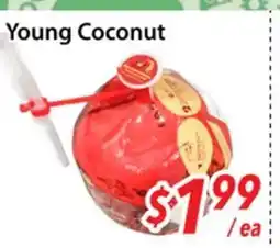 Bestco Food Mart Young Coconut offer