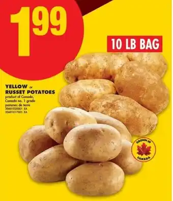 Yellow or russet potatoes
