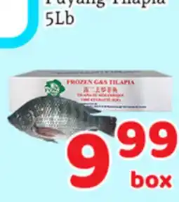 Fresh Value Fuyang Tilapia offer