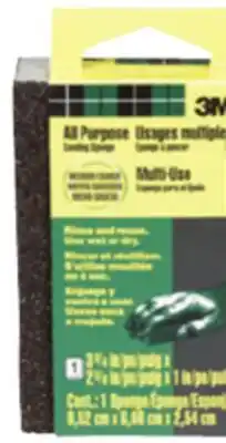 Princess Auto Sanding Sponges offer