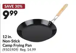 Princess Auto 12 in. Non-Stick Camp Frying Pan offer