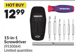 Princess Auto 15-in-1 Screwdriver offer