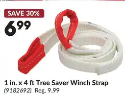 Princess Auto 1 in. x 4 ft Tree Saver Winch Strap offer