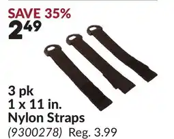 Princess Auto 3 pk 1 x 11 in. Nylon Straps offer