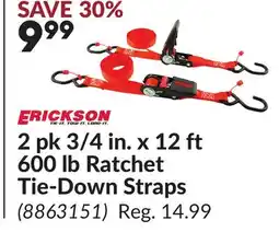 Princess Auto 3/4 in. x 12 ft 600 lb Ratchet Tie-Down Straps offer