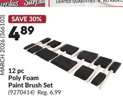 Princess Auto 12 pc Poly Foam Paint Brush Set offer