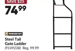 Princess Auto Steel Tail Gate Ladder offer