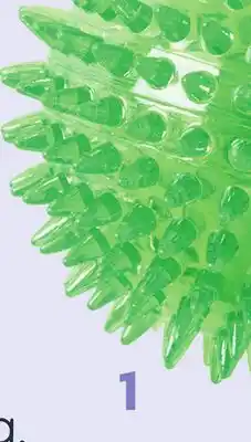 Petvalu JUMP! Dental Squeaker Ball Green Dog Toy offer