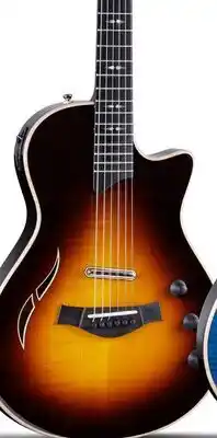 Long & McQuade TAYLOR T5Z PRO TOBACCO SUNBURST offer
