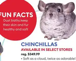 Petsmart CHINCHILLAS offer