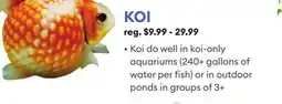 Petsmart KOI offer