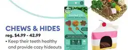 Petsmart CHEWS & HIDES offer