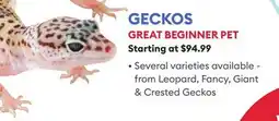 Petsmart GECKOS offer