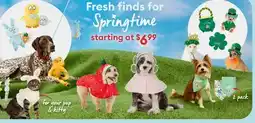 Petsmart Fresh finds for Springtime starting at $ 6.99 offer