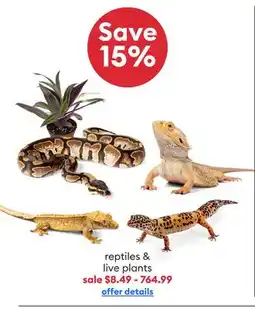 Petsmart Save 15% reptiles & live plants offer