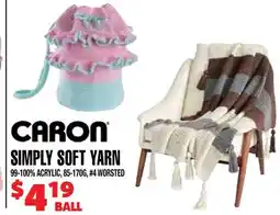 Len's Mill Stores CARON SIMPLY SOFT YARN BALL BALL offer