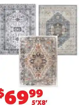 Len's Mill Stores PRINTED RUGS offer