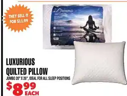 Len's Mill Stores LUXURIOUS QUILTED PILLOW offer