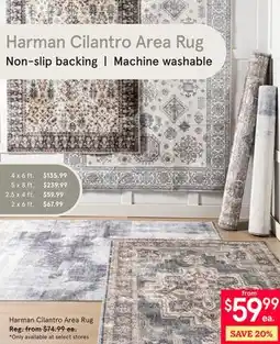 Kitchen Stuff Plus Harman Cilantro Area Rug offer