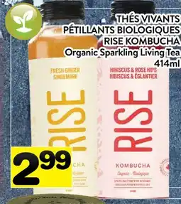 Supermarché PA THÉS VIVANTS PÉTILLANTS BIOLOGIQUES RISE KOMBUCHA | Organic Sparkling Living Tea offer
