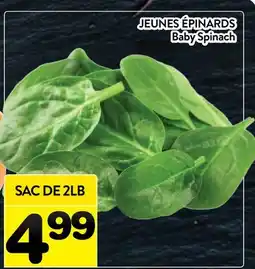 Supermarché PA JEUNES ÉPINARDS | Baby Spinach offer