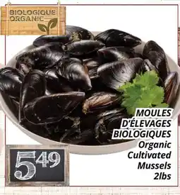 Supermarché PA MOULES D'ÉLEVAGES BIOLOGIQUES | Organic Cultivated Mussels offer