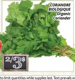 Supermarché PA CORIANDRE BIOLOGIQUE | Organic Coriander offer