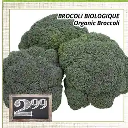 Supermarché PA BROCOLI BIOLOGIQUE | Organic Broccoli offer
