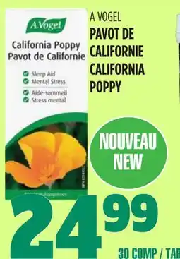 Marches Tau PAVOT DE CALIFORNIE A VOGEL offer