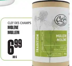 Marches Tau MOLENE CLEF DES CHAMPS offer