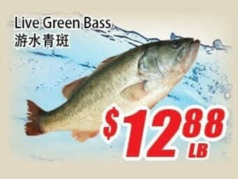 WinCo Food Mart Live green bass offer